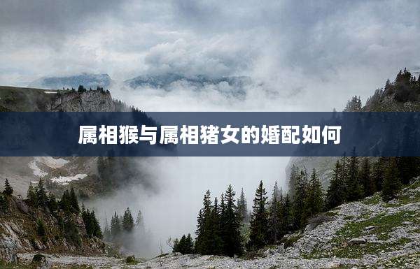 属相猴与属相猪女的婚配如何
