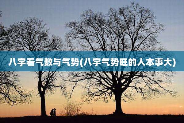 八字看气数与气势(八字气势旺的人本事大)