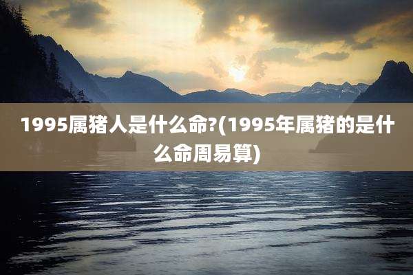 1995属猪人是什么命?(1995年属猪的是什么命周易算)