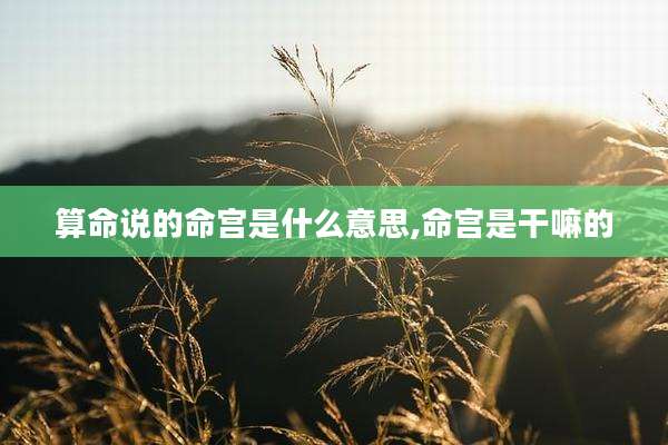 算命说的命宫是什么意思,命宫是干嘛的