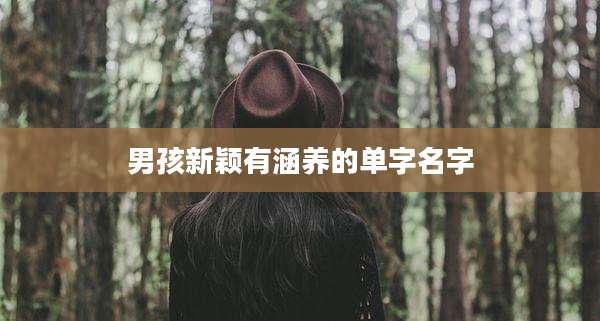 男孩新颖有涵养的单字名字