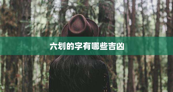 六划的字有哪些吉凶