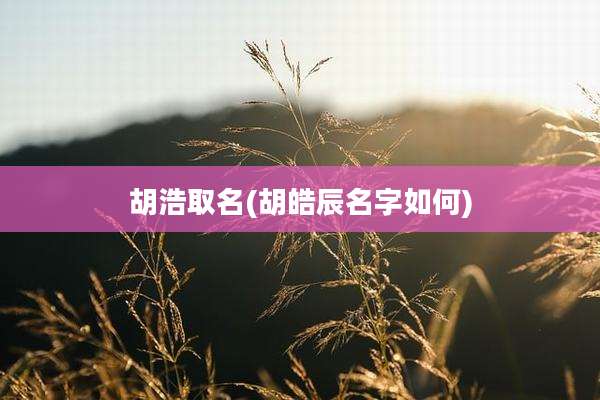 胡浩取名(胡皓辰名字如何)
