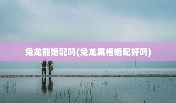 兔龙能婚配吗(兔龙属相婚配好吗)