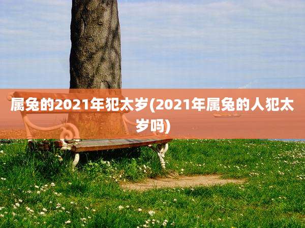 属兔的2021年犯太岁(2021年属兔的人犯太岁吗)