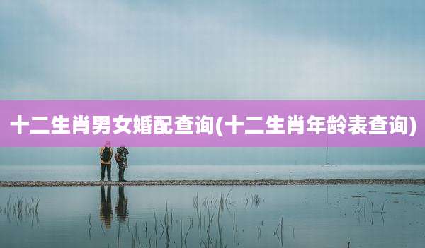 十二生肖男女婚配查询(十二生肖年龄表查询)