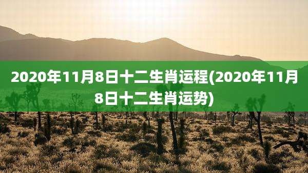 2020年11月8日十二生肖运程(2020年11月8日十二生肖运势)