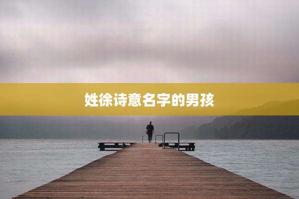 姓徐诗意名字的男孩