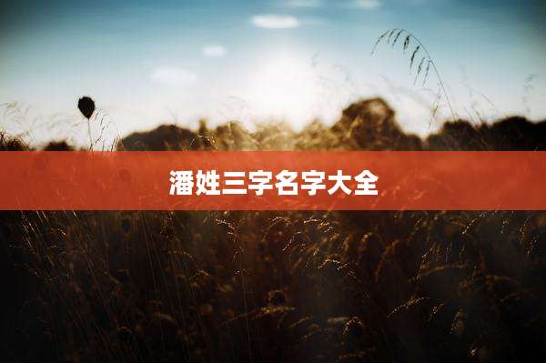 潘姓三字名字大全