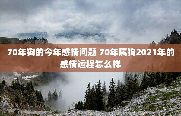 70年狗的今年感情问题 70年属狗2021年的感情运程怎么样