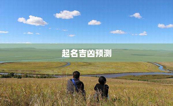 起名吉凶预测
