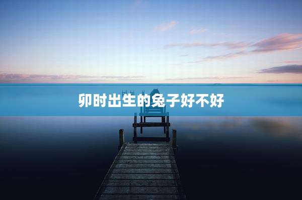 卯时出生的兔子好不好