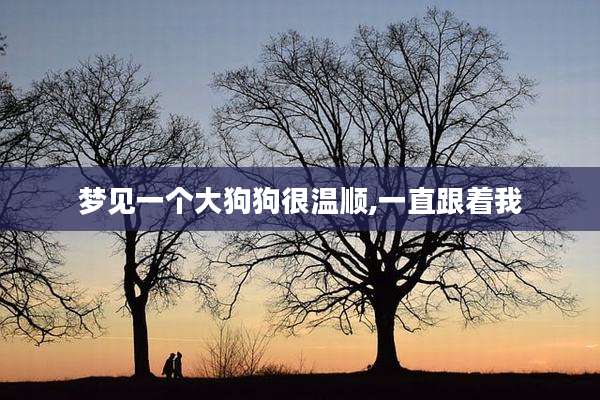 梦见一个大狗狗很温顺,一直跟着我