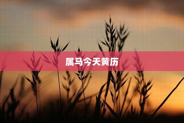 属马今天黄历