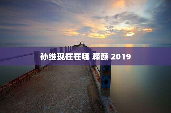 孙维现在在哪 释颜 2019