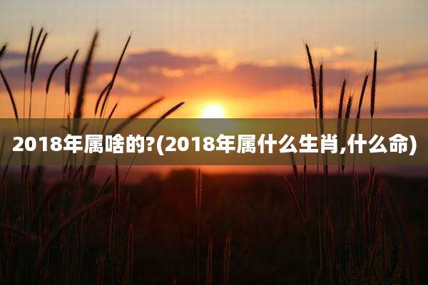 2018年属啥的?(2018年属什么生肖,什么命)
