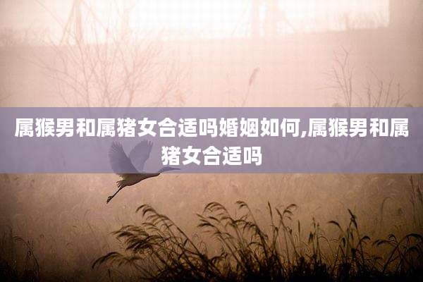 属猴男和属猪女合适吗婚姻如何,属猴男和属猪女合适吗