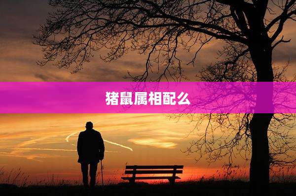 猪鼠属相配么