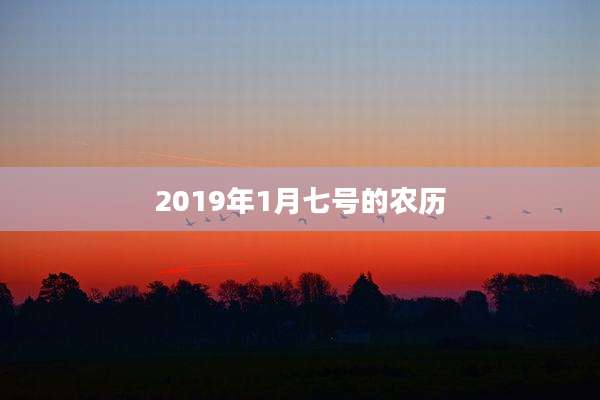 2019年1月七号的农历