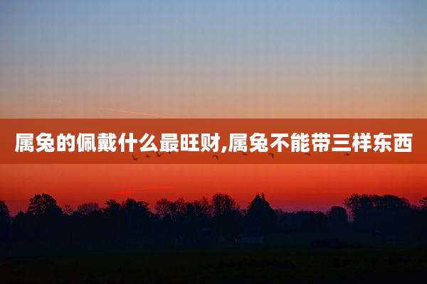 属兔的佩戴什么最旺财,属兔不能带三样东西