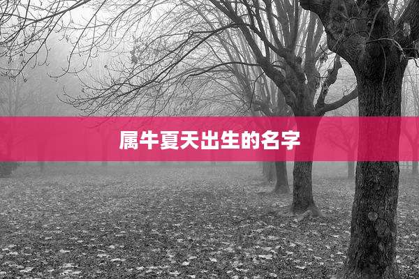 属牛夏天出生的名字