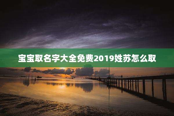 宝宝取名字大全免费2019姓苏怎么取