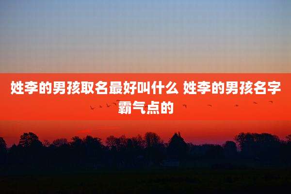 姓李的男孩取名最好叫什么 姓李的男孩名字霸气点的