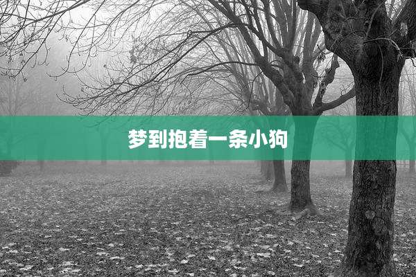 梦到抱着一条小狗