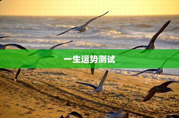 一生运势测试