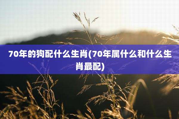 70年的狗配什么生肖(70年属什么和什么生肖最配)