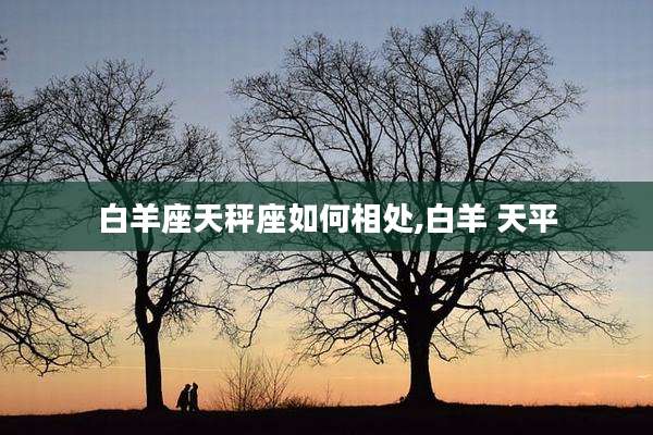 白羊座天秤座如何相处,白羊 天平