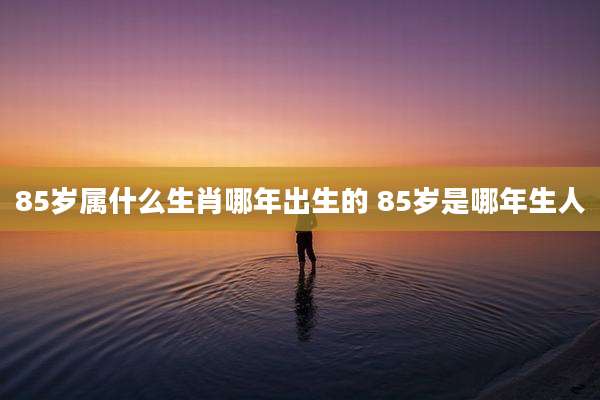 85岁属什么生肖哪年出生的 85岁是哪年生人