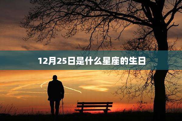 12月25日是什么星座的生日