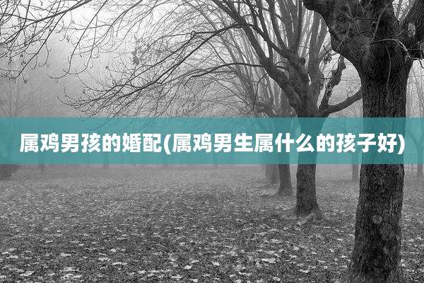 属鸡男孩的婚配(属鸡男生属什么的孩子好)