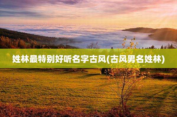 姓林最特别好听名字古风(古风男名姓林)