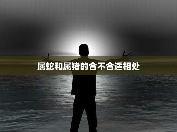 属蛇和属猪的合不合适相处