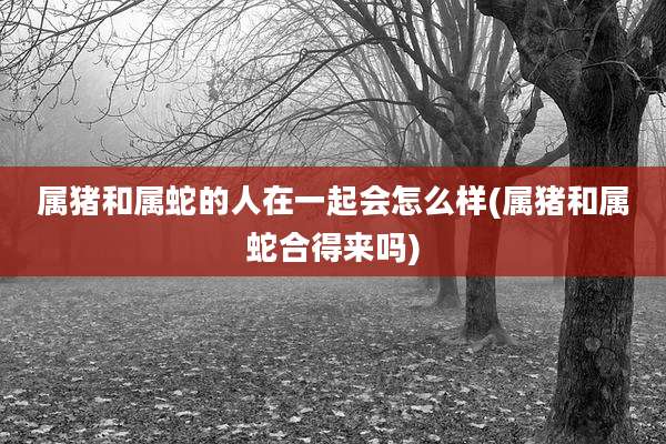 属猪和属蛇的人在一起会怎么样(属猪和属蛇合得来吗)
