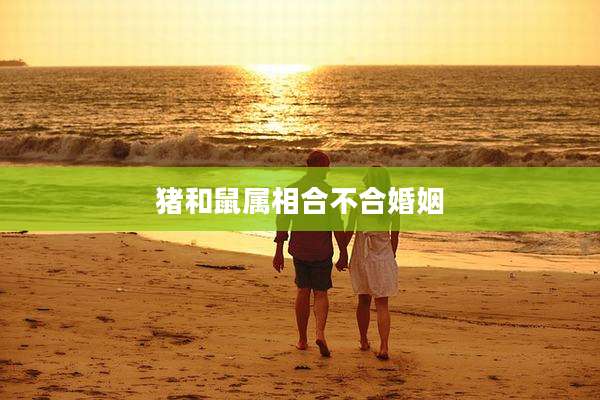 猪和鼠属相合不合婚姻