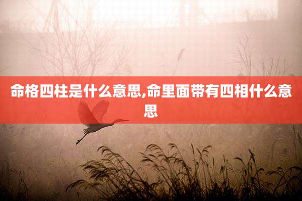 命格四柱是什么意思,命里面带有四相什么意思