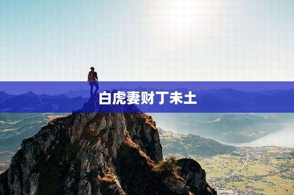 白虎妻财丁未土