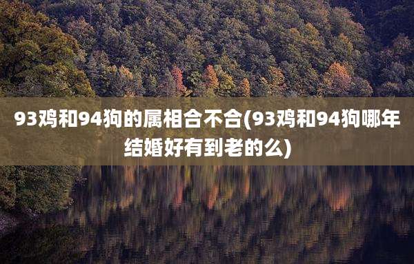 93鸡和94狗的属相合不合(93鸡和94狗哪年结婚好有到老的么)