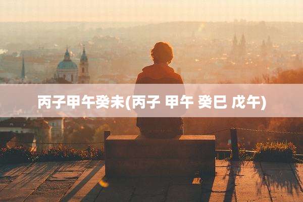 丙子甲午癸未(丙子 甲午 癸巳 戊午)