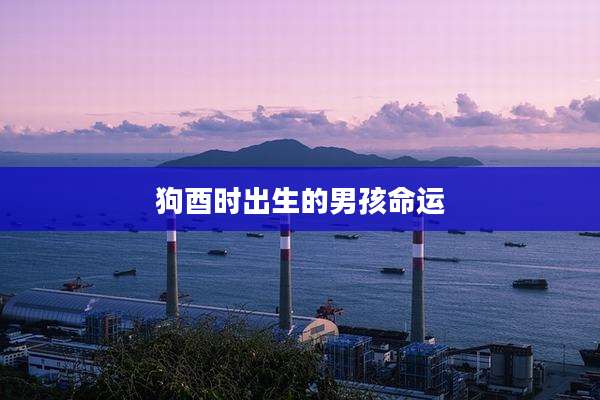 狗酉时出生的男孩命运