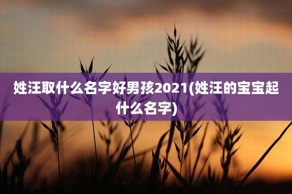 姓汪取什么名字好男孩2021(姓汪的宝宝起什么名字)