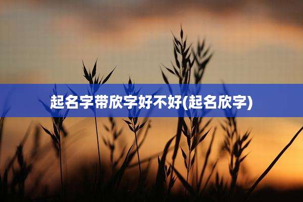 起名字带欣字好不好(起名欣字)