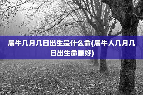 属牛几月几日出生是什么命(属牛人几月几日出生命最好)