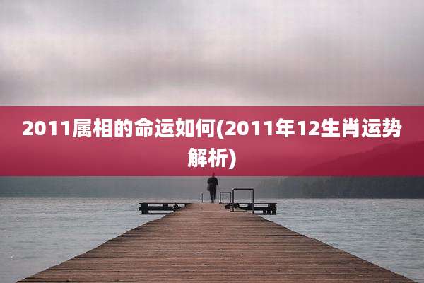2011属相的命运如何(2011年12生肖运势解析)