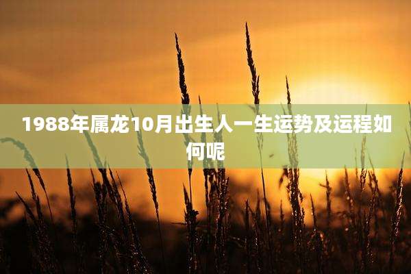 1988年属龙10月出生人一生运势及运程如何呢