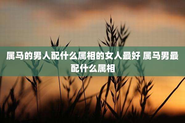 属马的男人配什么属相的女人最好 属马男最配什么属相