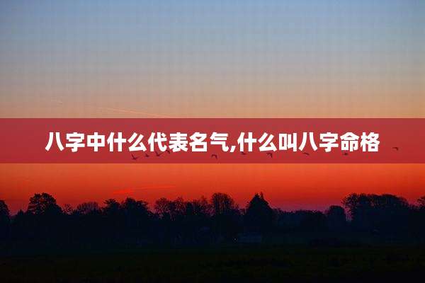 八字中什么代表名气,什么叫八字命格